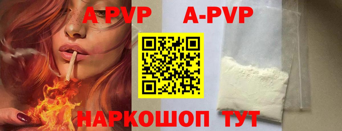 A PVP СК КРИС Нефтекумск