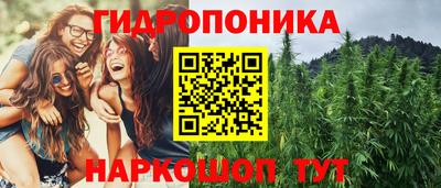 стаф Чапаевск