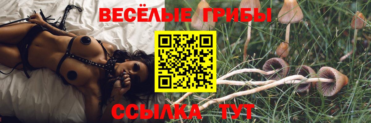 Псилоцибиновые грибы Psilocybine cubensis  Вход с VPN  Нефтекумск 